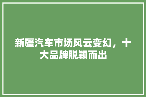 新疆汽车市场风云变幻，十大品牌脱颖而出