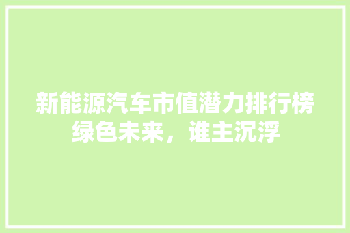新能源汽车市值潜力排行榜绿色未来，谁主沉浮