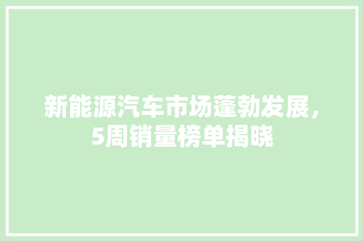 新能源汽车市场蓬勃发展，5周销量榜单揭晓