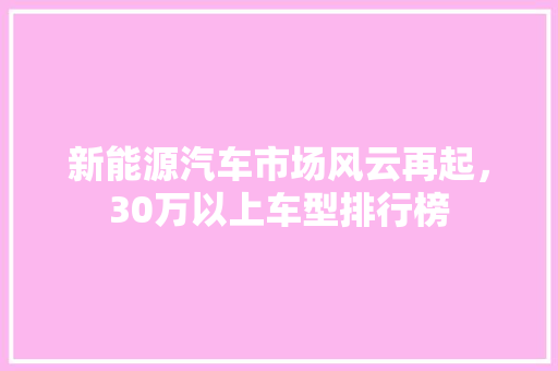 新能源汽车市场风云再起，30万以上车型排行榜