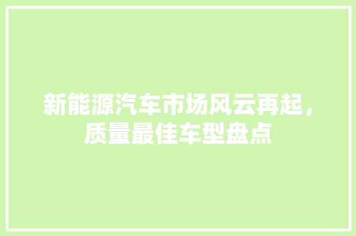 新能源汽车市场风云再起，质量最佳车型盘点