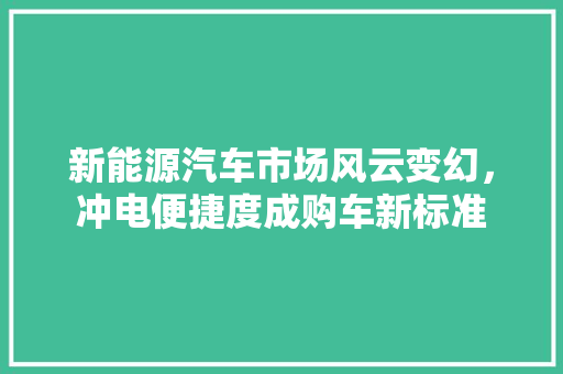 新能源汽车市场风云变幻，冲电便捷度成购车新标准
