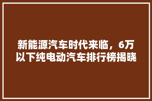 新能源汽车时代来临，6万以下纯电动汽车排行榜揭晓！