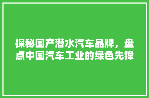 探秘国产潜水汽车品牌，盘点中国汽车工业的绿色先锋
