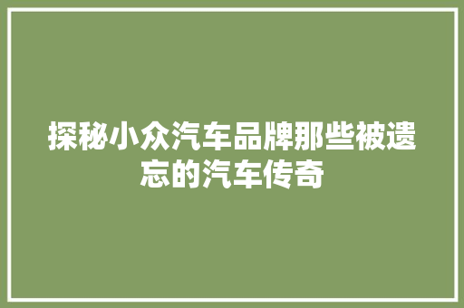 探秘小众汽车品牌那些被遗忘的汽车传奇