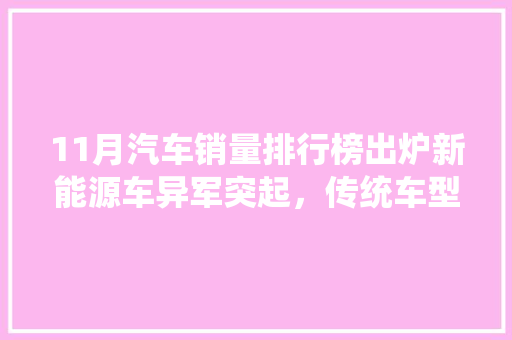 11月汽车销量排行榜出炉新能源车异军突起，传统车型稳中有变