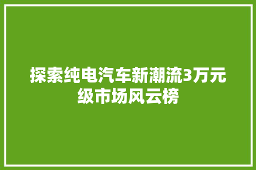 探索纯电汽车新潮流3万元级市场风云榜