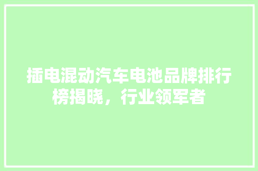 插电混动汽车电池品牌排行榜揭晓，行业领军者
