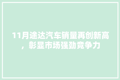 11月途达汽车销量再创新高，彰显市场强劲竞争力