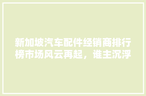 新加坡汽车配件经销商排行榜市场风云再起，谁主沉浮