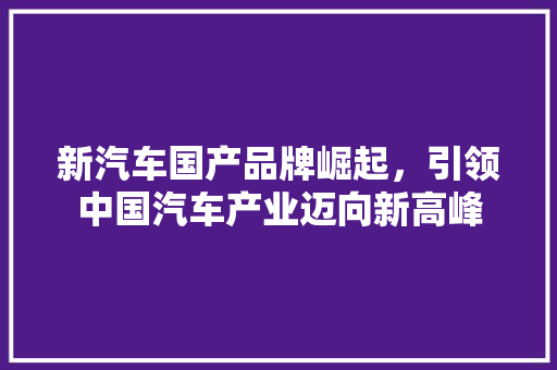 新汽车国产品牌崛起，引领中国汽车产业迈向新高峰
