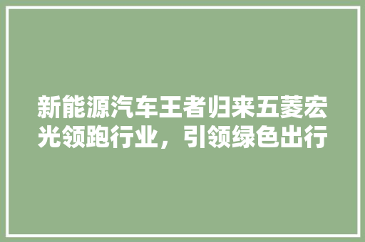 新能源汽车王者归来五菱宏光领跑行业，引领绿色出行新风尚