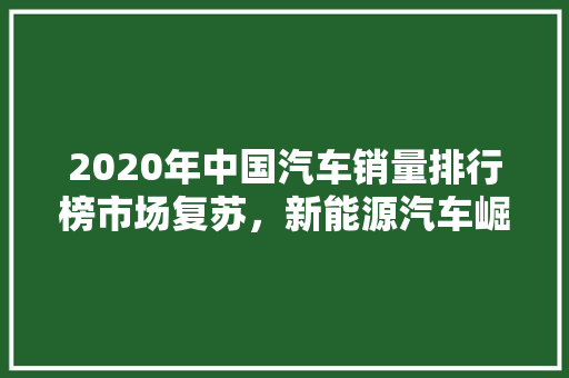 2020年中国汽车销量排行榜市场复苏，新能源汽车崛起