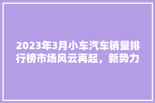 2023年3月小车汽车销量排行榜市场风云再起，新势力车型崛起