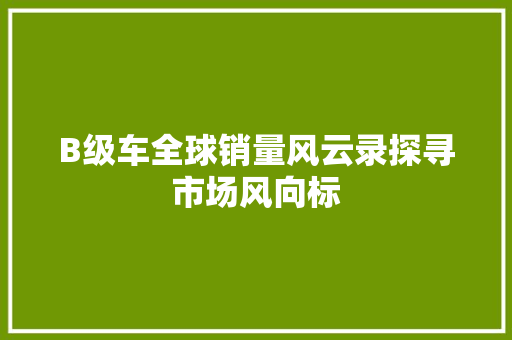 B级车全球销量风云录探寻市场风向标
