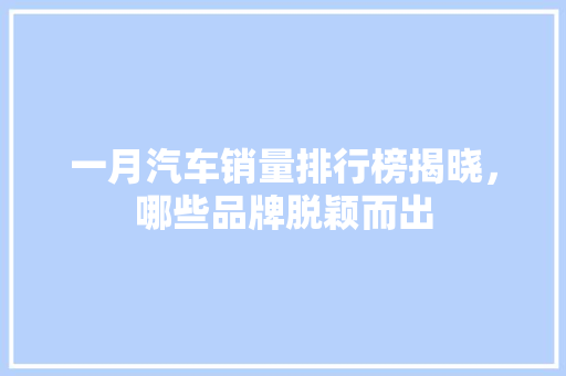 一月汽车销量排行榜揭晓，哪些品牌脱颖而出