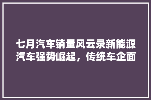 七月汽车销量风云录新能源汽车强势崛起，传统车企面临挑战