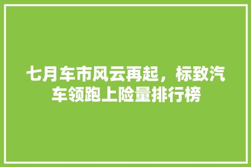 七月车市风云再起，标致汽车领跑上险量排行榜