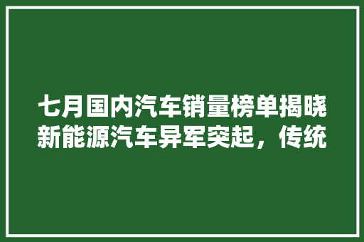 七月国内汽车销量榜单揭晓新能源汽车异军突起，传统车企面临挑战