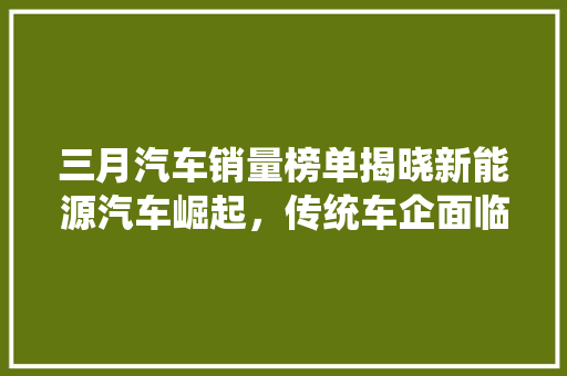 三月汽车销量榜单揭晓新能源汽车崛起，传统车企面临挑战