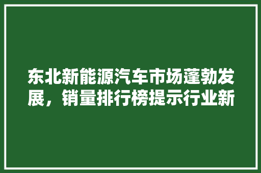 东北新能源汽车市场蓬勃发展，销量排行榜提示行业新趋势