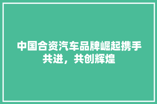 中国合资汽车品牌崛起携手共进，共创辉煌