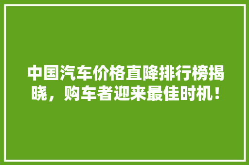 中国汽车价格直降排行榜揭晓，购车者迎来最佳时机！