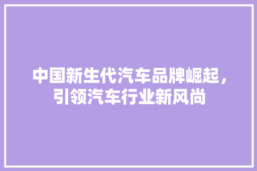 中国新生代汽车品牌崛起，引领汽车行业新风尚