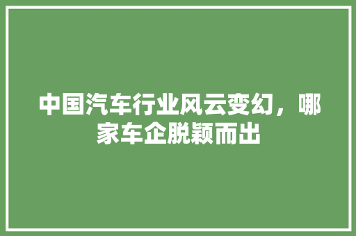 中国汽车行业风云变幻，哪家车企脱颖而出