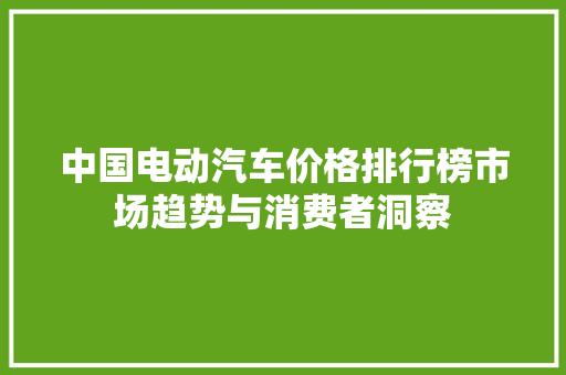 中国电动汽车价格排行榜市场趋势与消费者洞察