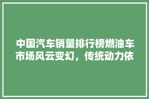 中国汽车销量排行榜燃油车市场风云变幻，传统动力依旧占据半壁江山