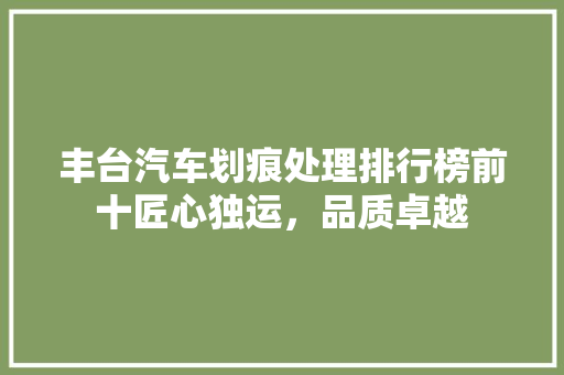 丰台汽车划痕处理排行榜前十匠心独运，品质卓越