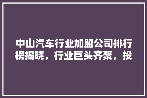 中山汽车行业加盟公司排行榜揭晓，行业巨头齐聚，投资新风向标