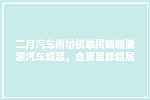 二月汽车销量榜单揭晓新能源汽车崛起，合资品牌稳居前列