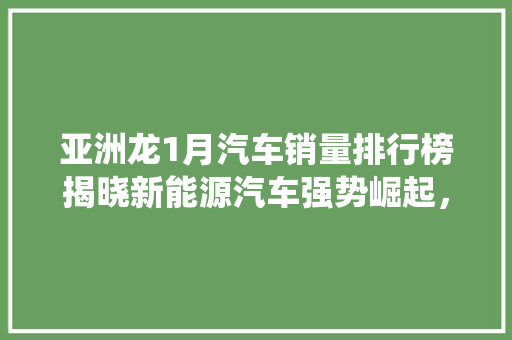 亚洲龙1月汽车销量排行榜揭晓新能源汽车强势崛起，传统燃油车面临挑战