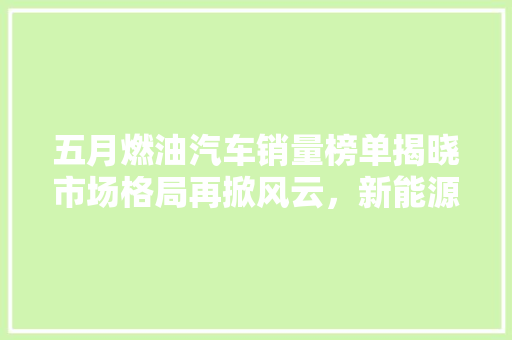 五月燃油汽车销量榜单揭晓市场格局再掀风云，新能源汽车崛起成新趋势