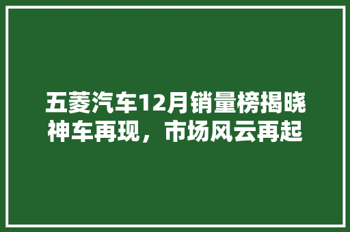 五菱汽车12月销量榜揭晓神车再现，市场风云再起
