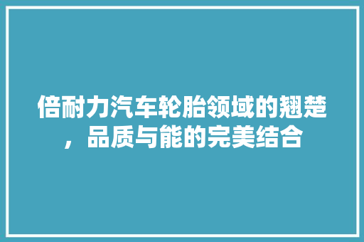 倍耐力汽车轮胎领域的翘楚，品质与能的完美结合