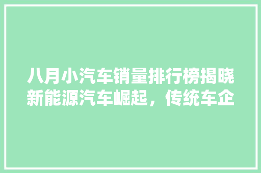 八月小汽车销量排行榜揭晓新能源汽车崛起，传统车企转型升级