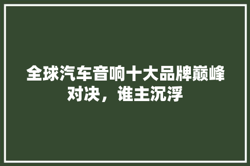 全球汽车音响十大品牌巅峰对决，谁主沉浮