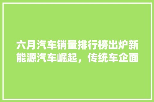 六月汽车销量排行榜出炉新能源汽车崛起，传统车企面临挑战