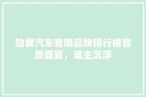 劲翼汽车音响品牌排行榜音质盛宴，谁主沉浮