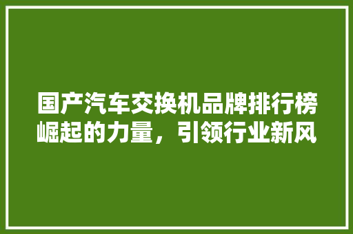 国产汽车交换机品牌排行榜崛起的力量，引领行业新风向
