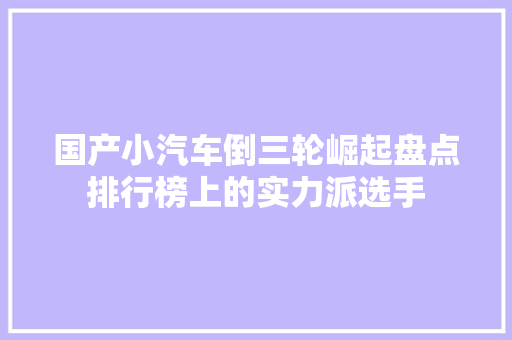国产小汽车倒三轮崛起盘点排行榜上的实力派选手