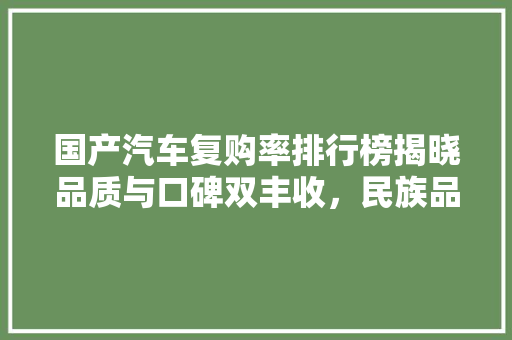 国产汽车复购率排行榜揭晓品质与口碑双丰收，民族品牌崛起之路