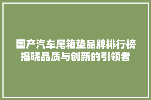 国产汽车尾箱垫品牌排行榜揭晓品质与创新的引领者