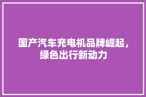 国产汽车充电机品牌崛起，绿色出行新动力