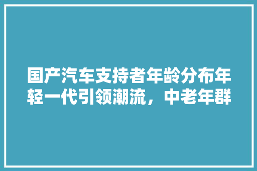国产汽车支持者年龄分布年轻一代引领潮流，中老年群体坚定支持