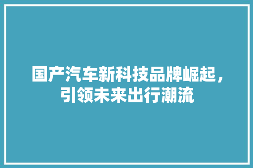 国产汽车新科技品牌崛起，引领未来出行潮流