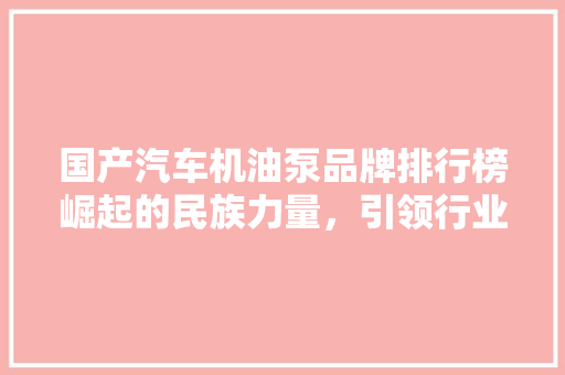 国产汽车机油泵品牌排行榜崛起的民族力量，引领行业新风向